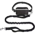 The Everyday Hands-Free Leash