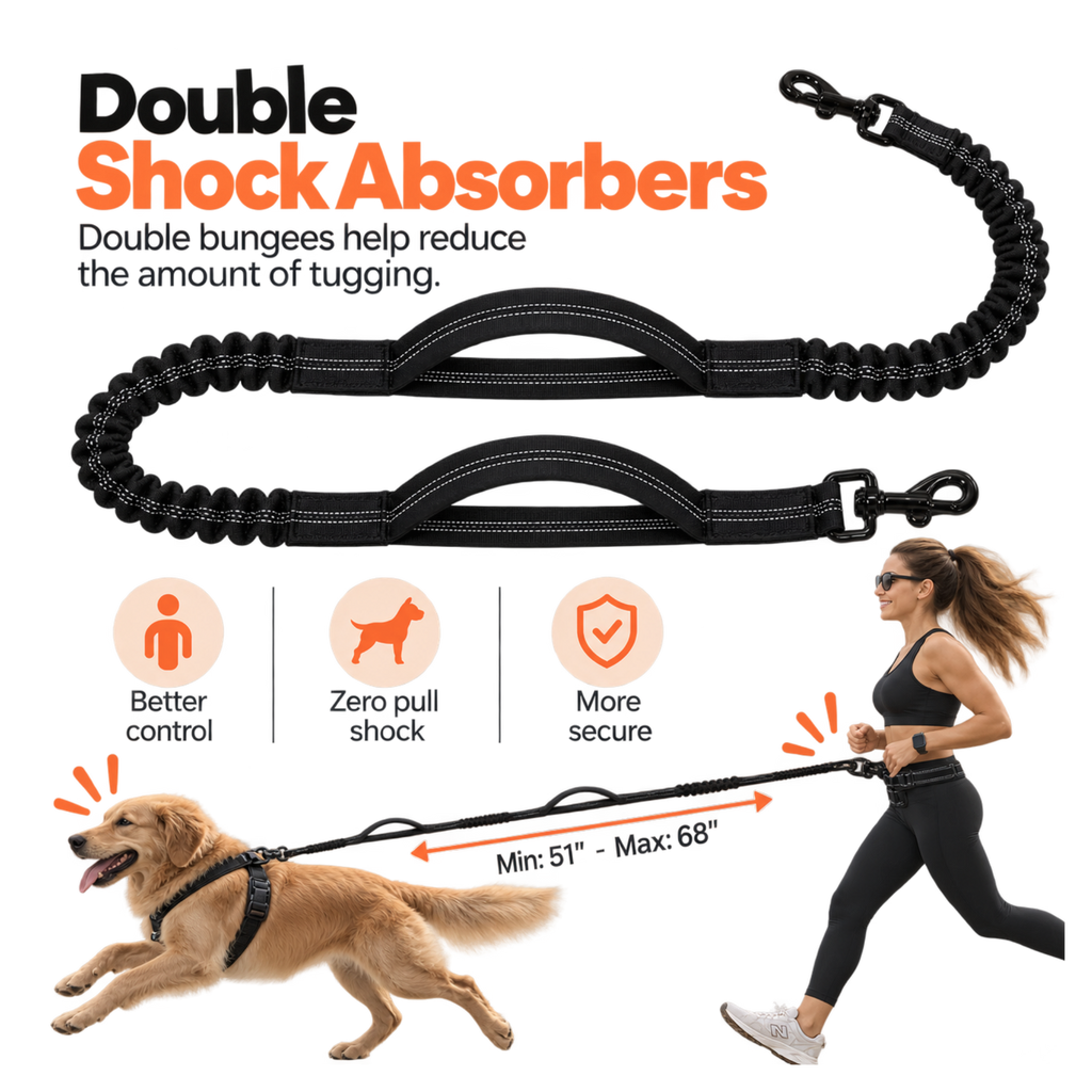The Everyday Hands-Free Leash